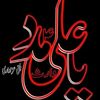 nabbelasardar