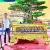 cuongcoca88