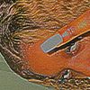 theeyayamou