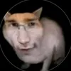 yrlotusmiffy