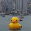 hjklzzzz