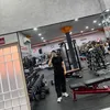 trameo2803