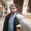 sheikhzeeshan096