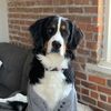 birdietheberner