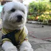 loisgwapo01