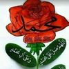 user8s69pdlmte