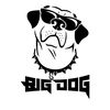 bigdognelson