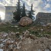 shaban1ali2