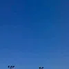 eddbjx3