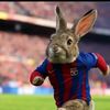 fernndez_8