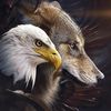 wolfindeserto