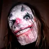 hodgsonmasks
