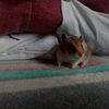 miky_baneado