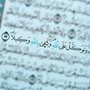 user41957299942361