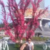 dieunguyen574
