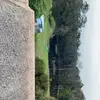 ttvausi