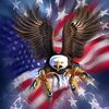 angryeagle2023