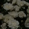 f5.877