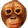 gabyanahisoto