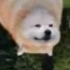 pebri_aoaoao