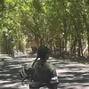 reagivera