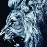 king58079