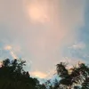 nhansinhnhumong98
