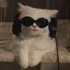 user10340947l
