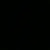 fake_josep