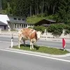 frankboecherer