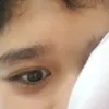 telemenis