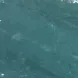 mrrebeut
