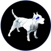 sangue blu tattoo shop