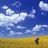 to_prairie_boy