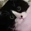 blaxkjoey