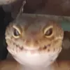 magic_seal0