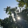 darksidelover2