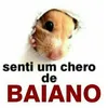Pérolas Baianas