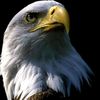 mahmoud.saqr53