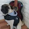 the_pug_simon