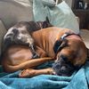 louandzoey