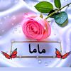 intalabadiya5