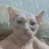 marciomoveis_
