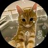cattiktok5813