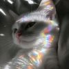 moonlightmaan_
