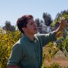 pedrosgarden
