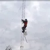 nanodelnuevaa