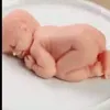 luciapenna21