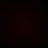 jay_3347