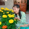 hieuthuan236